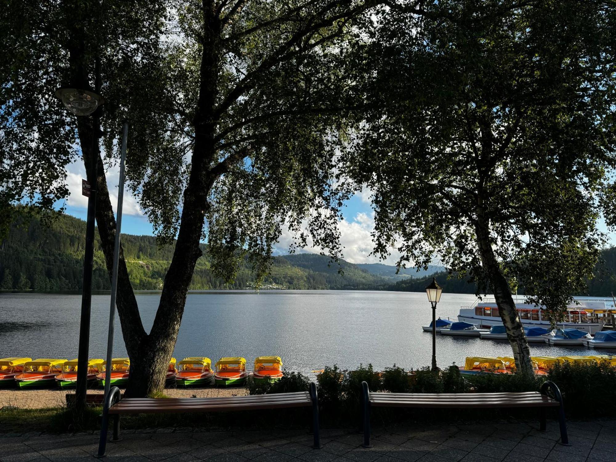 Panoramablick Mit Privatparkplatz, 2 Balkone Und 1,5 Baeder Διαμέρισμα Titisee-Neustadt Εξωτερικό φωτογραφία